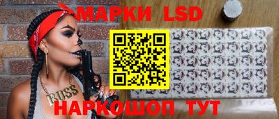 гидропоника Камышлов