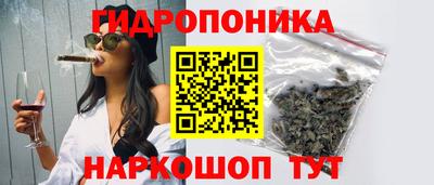 ПСИЛОЦИБИНОВЫЕ ГРИБЫ Канаш