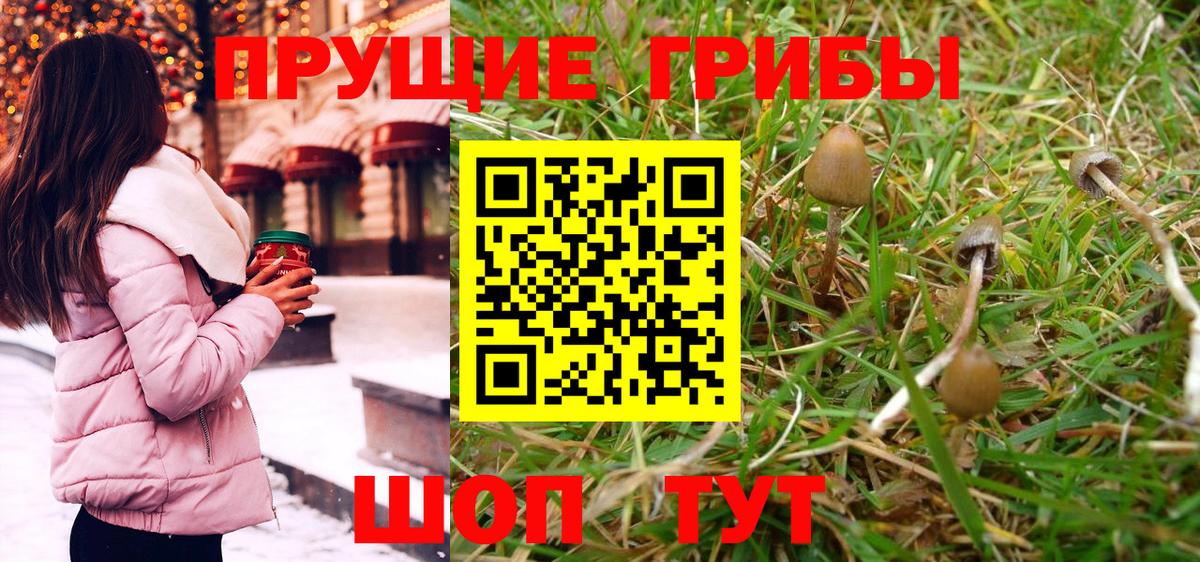 Псилоцибиновые грибы Psilocybine cubensis Ишимбай
